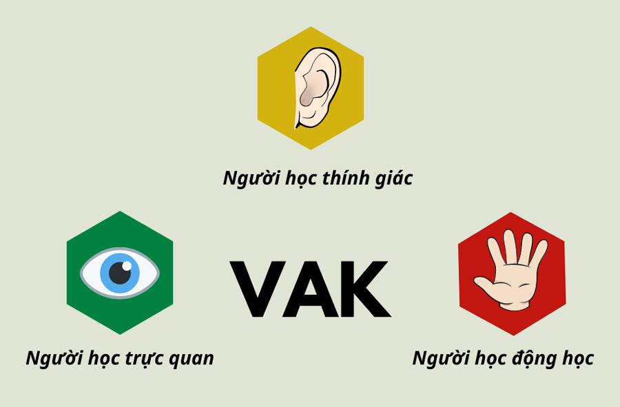 Phương thức học tập VAK là khả năng cải thiện kỹ năng ghi nhớ của bạn.