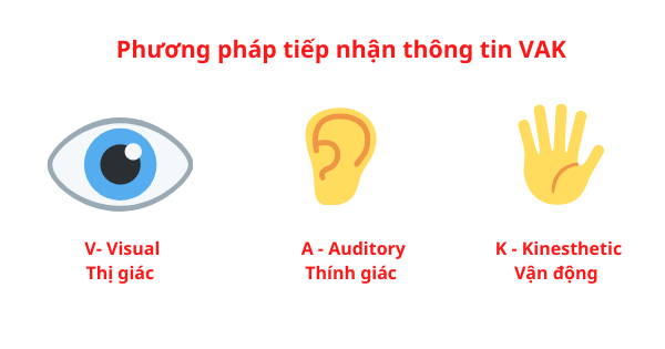 Phương pháp học VAK sẽ giúp bạn phát triển được khả năng sáng tạo của mình và giúp chúng ta nâng cao tư duy động não